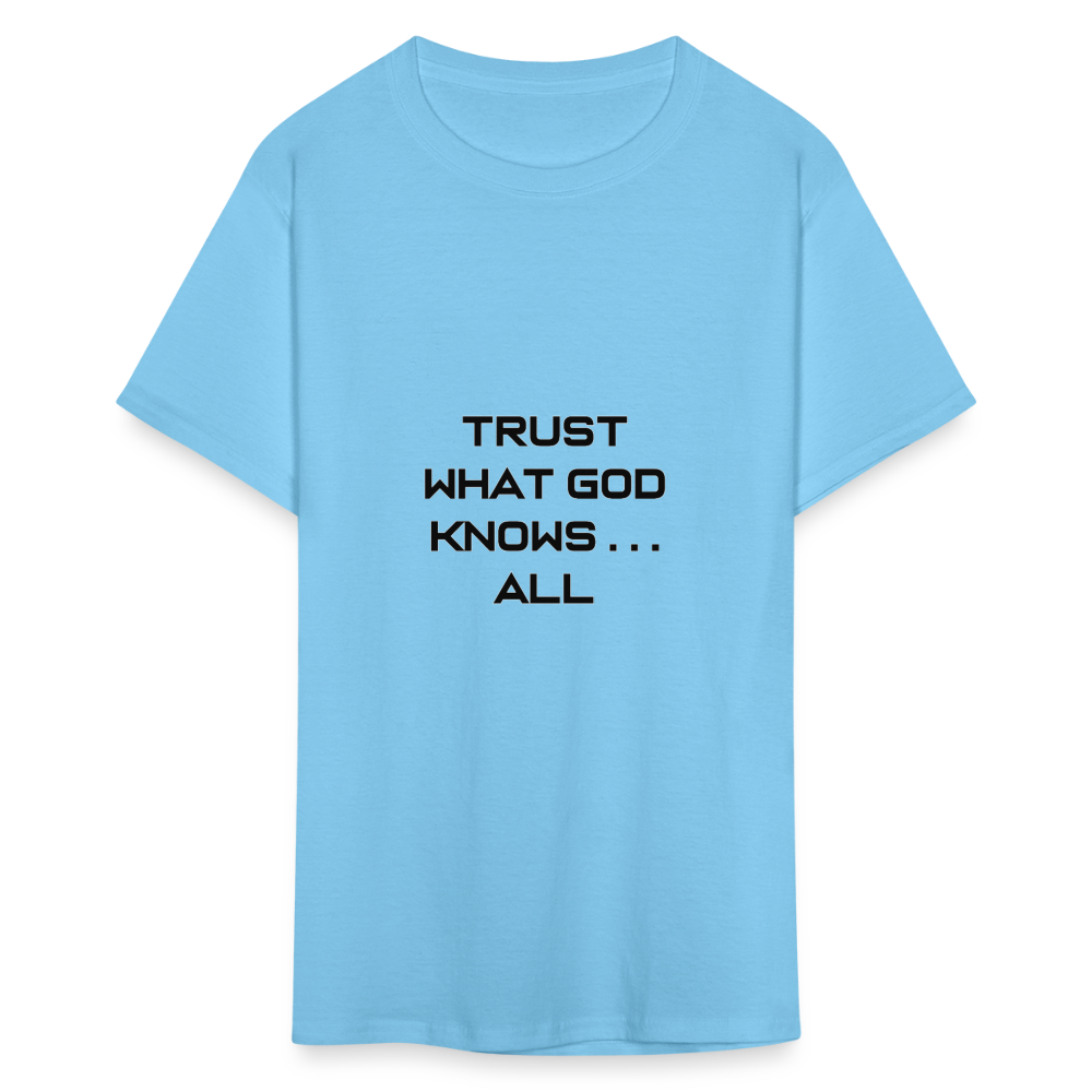 Trust What God Knows . . .All - aquatic blue